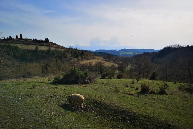 Photo d'un petit-déjeuner à Terres de Barréjat